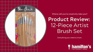 Product Review 12Piece Artist brush set [upl. by Ymereg]