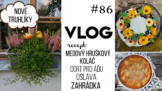 VLOG 86  hruškový koláč nové truhlíky dort pro Áďu oslava zahrádka 🎂 [upl. by Consalve]