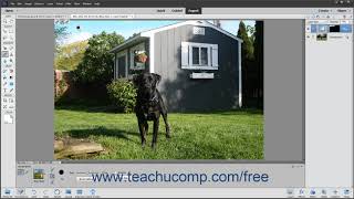 Photoshop Elements 2020 Tutorial The Smart Brush Tools Adobe Training [upl. by Ferullo]