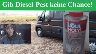 Gefährliche Winterpause Schutz gegen Dieselpest mit Liqui Moly Anti Bakterien Diesel Aditiv [upl. by Kronick]