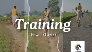 Nawab ਦੀ Training ਕਰਤੀ Start  ਛੌਟੀ ਵਡੀ Chaal ਚਲਾਇਆ  ਵੇਖੋ kive ਲਗੀ video training dailyvlog [upl. by Thebault]