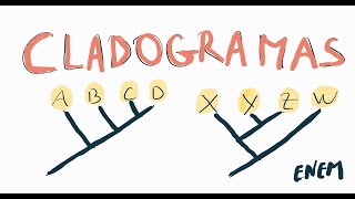 CLADOGRAMAS NO ENEM [upl. by Yuri]