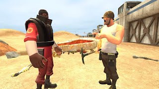 Demoman finds Soldier in the Canadian Border TF2 15ai Gmod Animation [upl. by Alurd661]