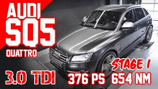 Audi SQ5 8R 30 TDI Quattro Plus  Stage 1  100200 kmh  mcchipdkr [upl. by Alorac]