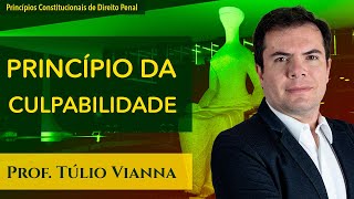 Princípio da Culpabilidade  Curso de Direito Penal  Prof Túlio Vianna UFMG [upl. by Lrac]