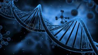 The Structure and Components of DNA [upl. by Epillihp127]