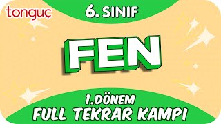 6 Sınıf Fen 1 Dönem Full Tekrar ♻ 2024 [upl. by Omixam302]