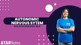 Autonomic Nervous System  VCE Psychology 3amp4 [upl. by Anivlac42]