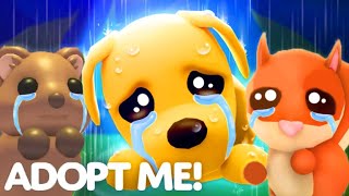 😢NO MORE NEW UPDATES😐REAL TRUTH BEHIND SAD PET THUMBNAILS IN ADOPT ME MUST WATCH ROBLOX [upl. by Yllom]