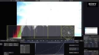 Sony F55 vs Arri Alexa vs Red Epic Part 4Direct sun testNo Filtration [upl. by Nicoline596]