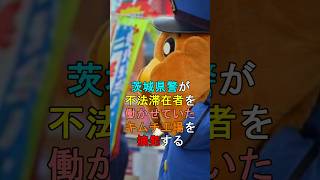 【朗報】茨城県警が不法滞在者を働かせていたキムチ工場を摘発する shorts 茨城県 [upl. by Barhos]