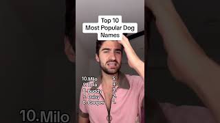 Top 10 Most Popular Dog Names [upl. by Tahpos]