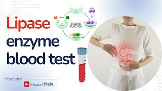 Natural ways to maintain a normal Lipase in body  Lipase enzyme function [upl. by Bergeman]