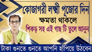 কোজাগরী লক্ষ্মী পূজার দিন শিকড় সহ এই গাছটি তুলে নিয়ে আসুন। টাকা গুনতে গুনতে আপনি হাঁপিয়ে উঠবেন [upl. by Glass]