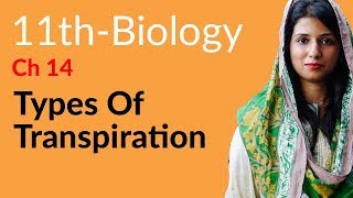 Types of Transpiration  Biology Ch 14 Transport  11th Class Biology [upl. by Ahsata551]