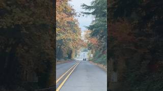 Driving out of Canby OR [upl. by Clorinda]