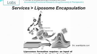 Liposome Encapsulation [upl. by Keare]