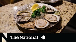 Experts probe cause of norovirus outbreak linked to BC oysters [upl. by Linnell872]