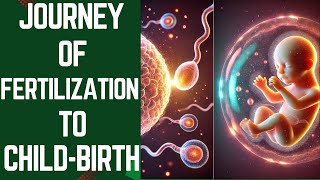 From Fertilization to Childbirth  The Journey of Life  By Wellness Galore [upl. by Wilfrid]