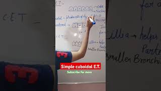 Simple cuboidal Epithelium Biology class 11 biology  shorts  NEET [upl. by Repsaj526]