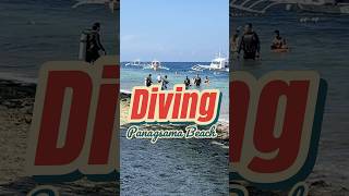 Diving Panagsama Beach  moalboal diving beach [upl. by Cissej549]