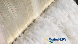 Warragamba Dam spilling  August 2020 [upl. by Hanad]