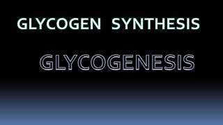 GLYCOGENESIS  glycogen metabolism biochemistry [upl. by Goddard599]