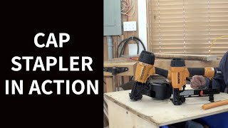 Cap Stapler in Action [upl. by Elly220]