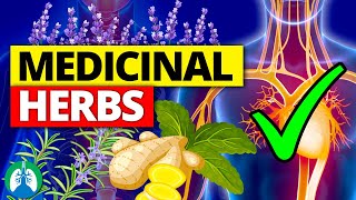 🌱Top 10 Most POWERFUL Medicinal Herbs Backed by Science [upl. by Itsa29]