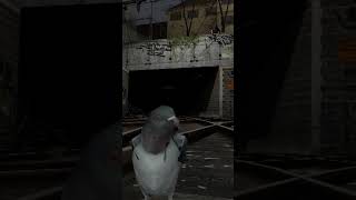 STUPID Pigeon [upl. by Miah371]