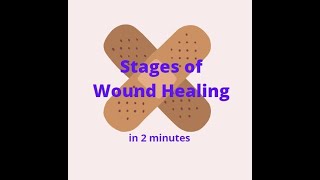 Stages of Wound Healing in 2 mins [upl. by Crespo]