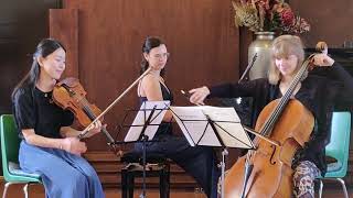 Chekhov Trio Eriko Nagayama Japan Fem Devos Belgium Anna Litvinenko AmericaUkraine Dl3 [upl. by Fraya]