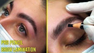 Follow along Brow Lamination tutorial for all eyebrow types Pro Pencil [upl. by Melisent]