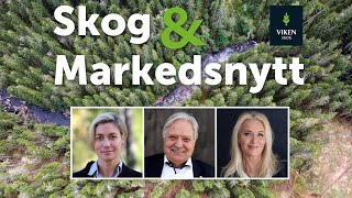 Skog amp Markedsnytt september 2024 [upl. by Whitson]