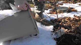 Hawk snatches released mouse [upl. by Hgielek]