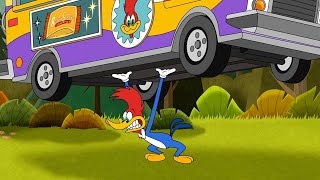 Food Truck Showdown  1 Hour of Woody Woodpecker Full Episodes [upl. by Karna]