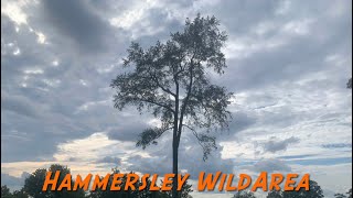 Hammersley Wild Area [upl. by Harli]