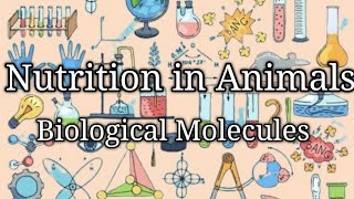 O Level Biology  Nutrition in Mammals Carbohydrates Proteins amp Lipids Structures amp Types [upl. by Stauffer]