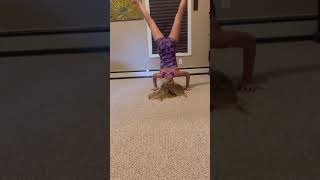 Headstand splits gymnastics scorpion contortionist [upl. by Jemmie361]