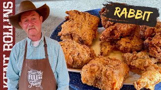 How to Cook Rabbit Two Ways  Deep Fried Rabbit and Hasenpfeffer [upl. by Victor]