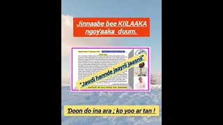 ÑALƊIIRE HOORE BIIR 16 JOLAL 2024 [upl. by Yrret502]