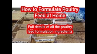 How to make chicken feeds How to formulate chicken feed Poultry Feed Formulation Ingredients [upl. by Lekym]