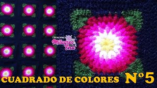 Como tejer el Cuadrado o muestra de colores N° 5 a crochet para colchas y cojines paso a paso [upl. by Lody]