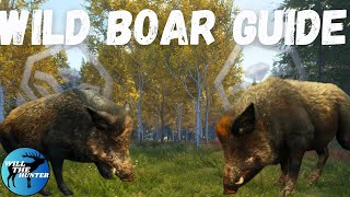 Hirschfelden Wild Boar Guide Plus My First Two Diamond Wild Boar TheHunter Call OF The Wild 2023 [upl. by Akenn314]