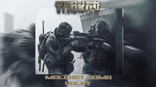 Molchat Doma  Volny Молчат Дома Escape From Tarkov Raid [upl. by Arakal508]