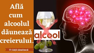 Afla cum alcoolul dauneaza creierului  Efectele negative ale alcoolului [upl. by Barbara-Anne]