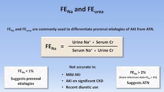 Acute Kidney Injury Part 23  Diagnostic Evaluation [upl. by Jarlath]