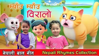 म्याउ म्याउ बिरालो  Myau Myau Biralo Famous RhymesNepali for kids Popular Rhymesबाल गीत [upl. by Beaner67]