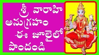 Goddess Varahi saves from sins  Sreenivasa Gargeya  Pranati Television [upl. by Nehemiah301]