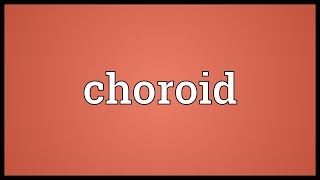 Choroid Meaning [upl. by Ordnaxela]